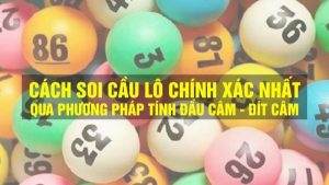 Thông tin và phương pháp soi đề từ đầu lô câm hay về